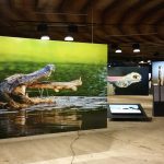 Wunder der Natur – eindrucksvolle Ausstellung im Gasometer Oberhausen